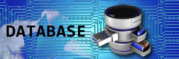 Asesoria en Backups